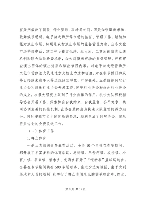 文广新局20XX年上半年工作总结及下半年工作计划.docx