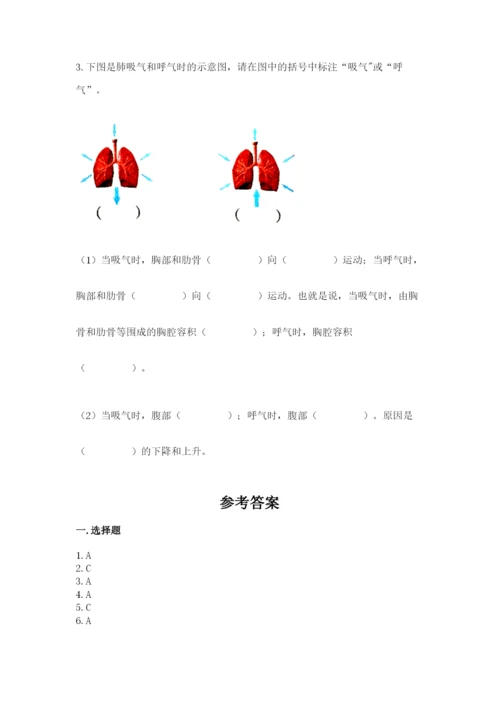 教科版科学四年级上册第二单元《呼吸和消化》测试卷含答案（精练）.docx