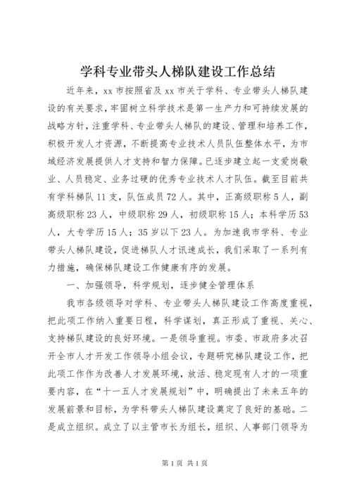 学科专业带头人梯队建设工作总结.docx