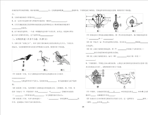 2021年苏教版七年级生物上册期末考试2021年苏教版