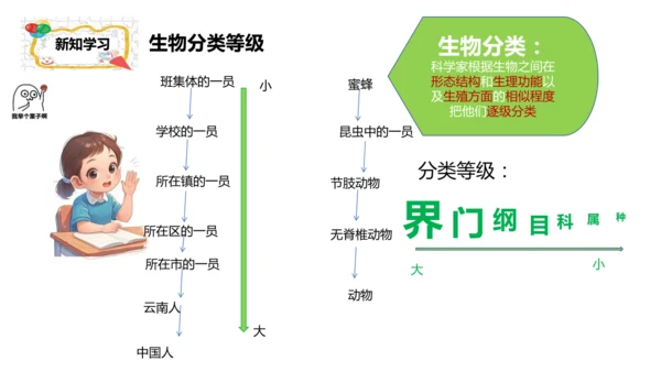 人教版生物七年级上册2.4.2《生物分类的方法——从种到界》课件(共26张PPT)