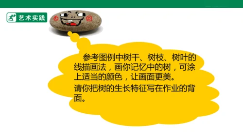 第三课《认识身边的树》课件