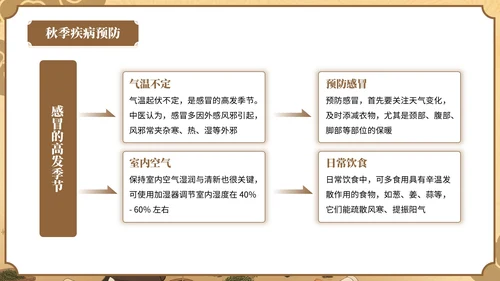 棕色中国风秋季养生中医智慧PPT模板