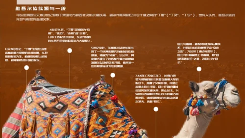 少数民族民俗文化之维吾尔族知识PPT模板