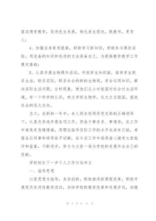 学校校长个人下一步工作计划书.docx