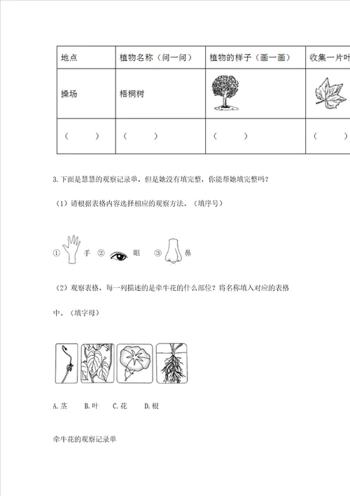 教科版科学一年级上册第一单元植物测试卷完整版