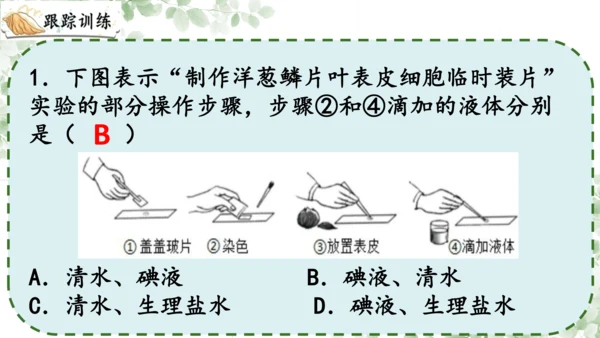 第一章 细胞是生命活动的基本单位（复习课件）-2023-2024学年七年级生物上学期期末复习知识梳理