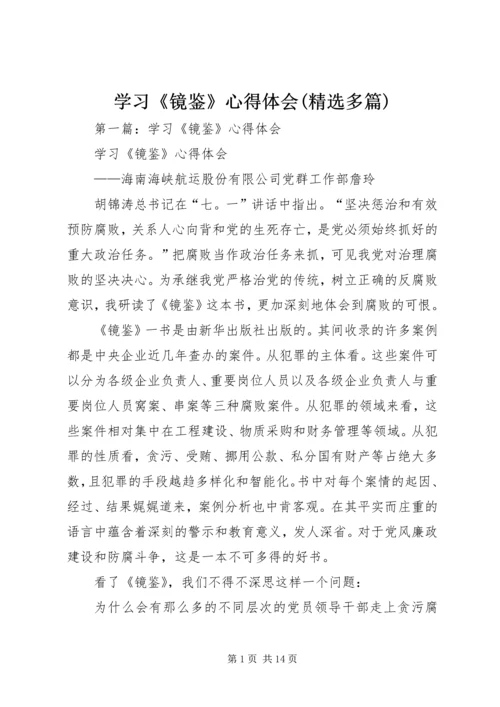 学习《镜鉴》心得体会(精选多篇).docx