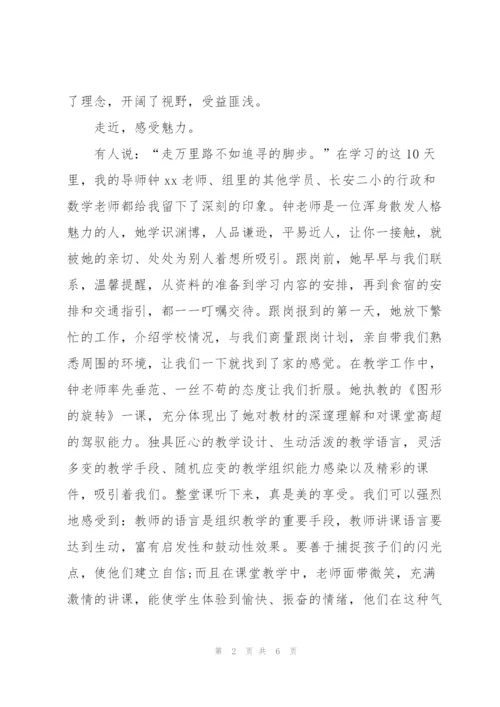 教师培训跟岗学习总结.docx