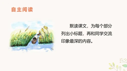 第21课《芦花鞋》（教学课件 ）