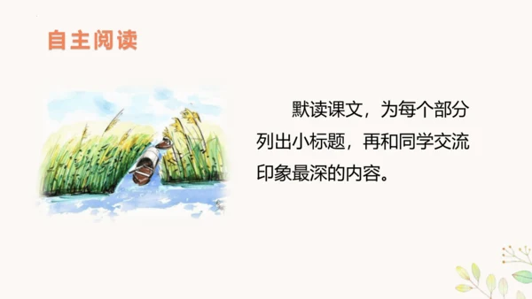 第21课《芦花鞋》（教学课件 ）