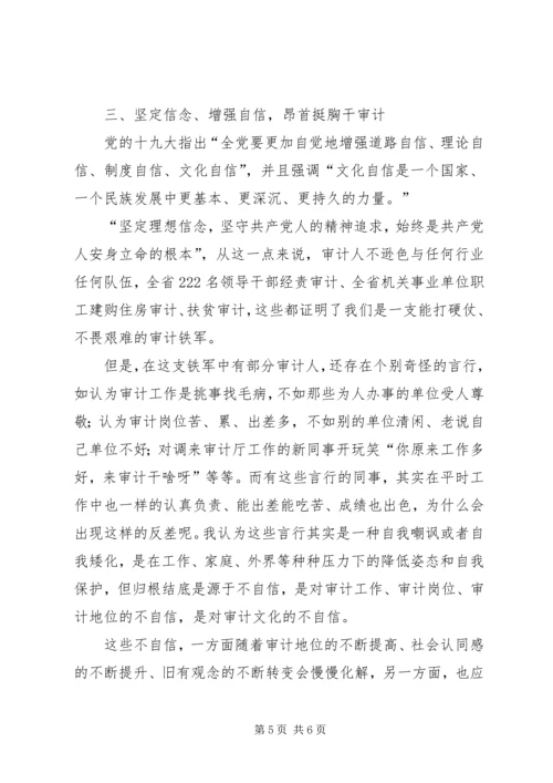 以十九大精神为指引做好新时代审计工作.docx