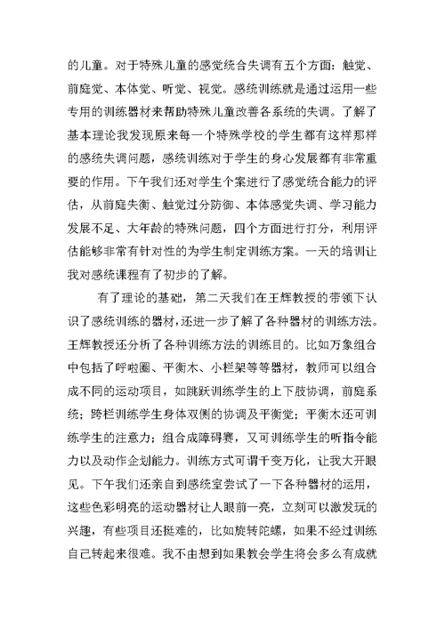 感统训练一年工作总结
