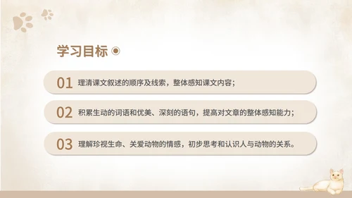 黄色水彩风语文初一课件猫课文PPT模板