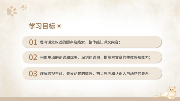 黄色水彩风语文初一课件猫课文PPT模板