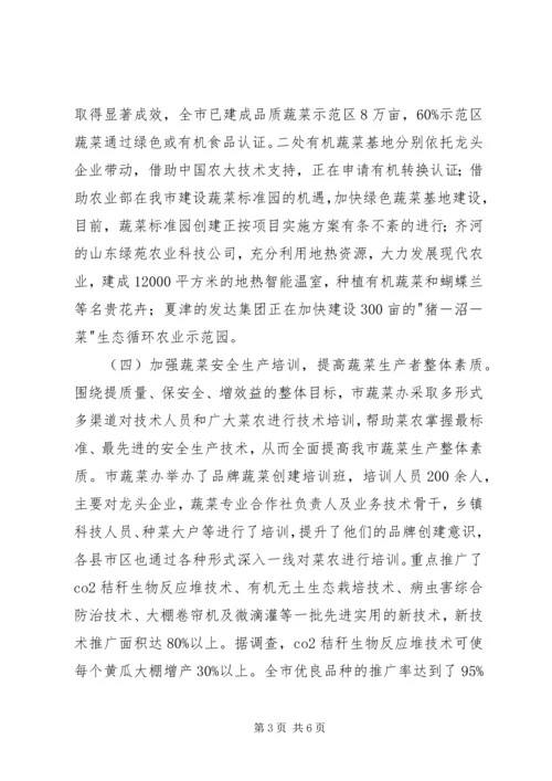 蔬菜办安全整顿工作报告.docx