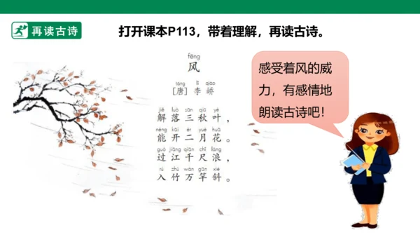 部编1A 第8单元 第11课 会写的字与单元阅读 课件