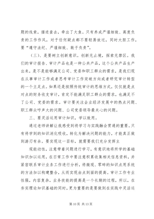 学习审计先进人员事迹心得体会(精选多篇).docx