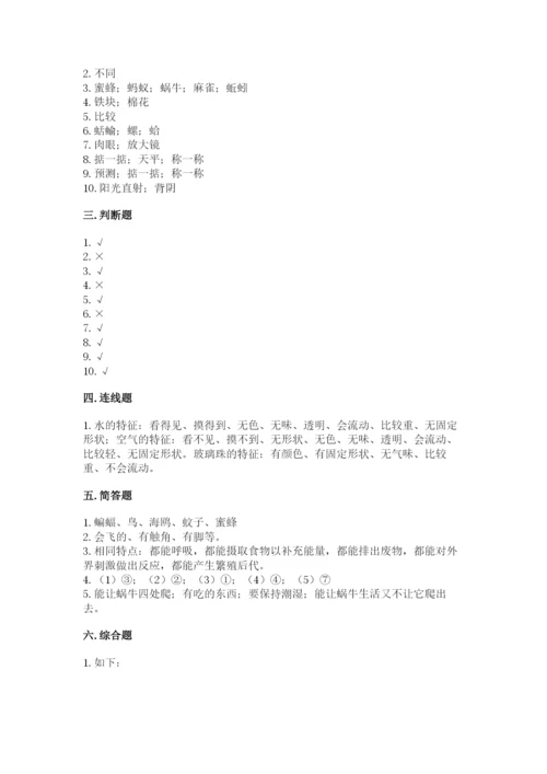 教科版一年级下册科学期末测试卷含完整答案（全优）.docx