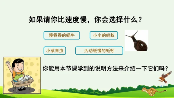 7 什么比猎豹的速度更快 第二课时 课件
