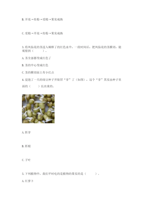 教科版科学四年级下册第一单元《植物的生长变化》测试卷精品【必刷】.docx