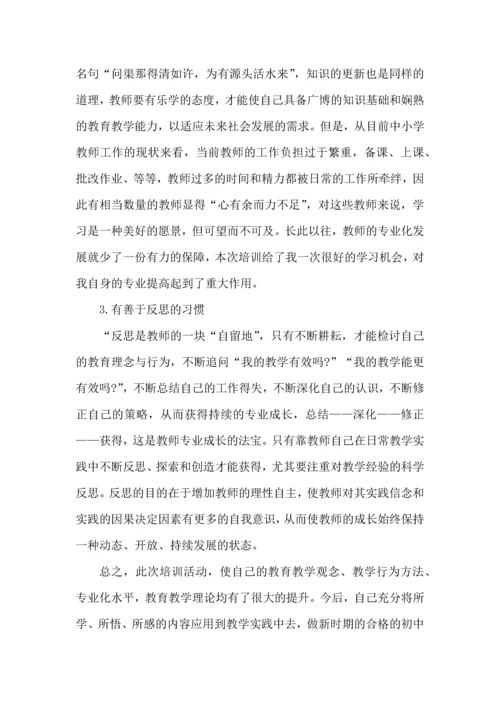 初中教师国培心得体会.docx