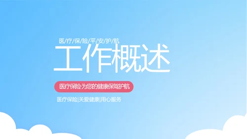 保险医疗工作总结汇报计划动态PPT