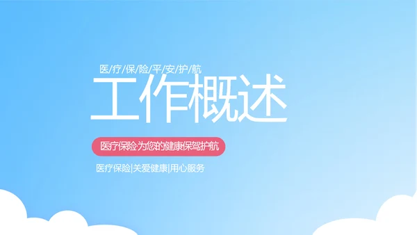 保险医疗工作总结汇报计划动态PPT