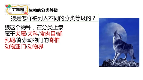 人教版生物七年级上册2.4.2《生物分类的方法——从种到界》课件(共26张PPT)