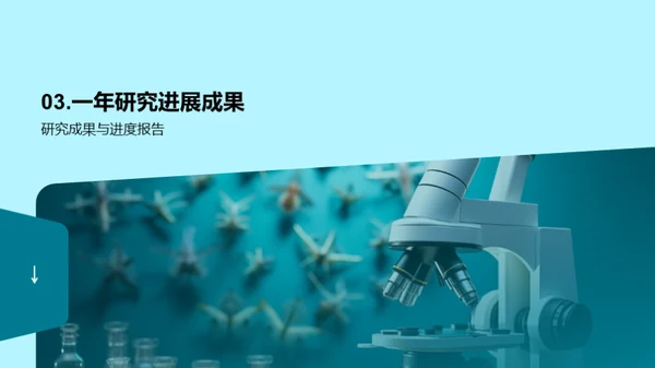 研究之路的回顾与展望