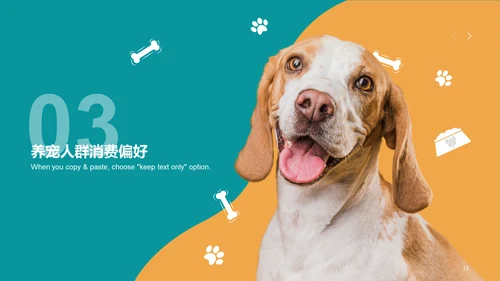 2022年中国宠物消费调研报告