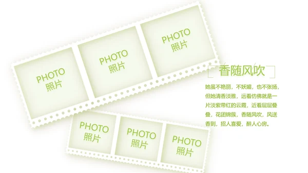 致青春毕业季大学毕业纪念册电子相册动态PPT