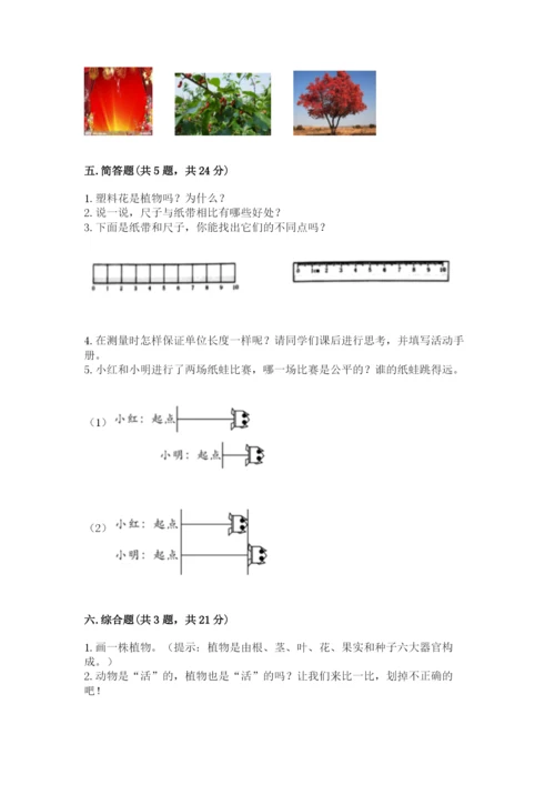 教科版一年级上册科学期末测试卷及答案（基础+提升）.docx