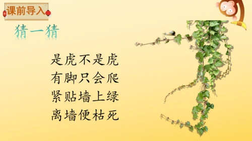 10 爬山虎的脚   课件
