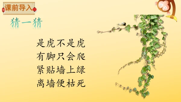 10 爬山虎的脚   课件