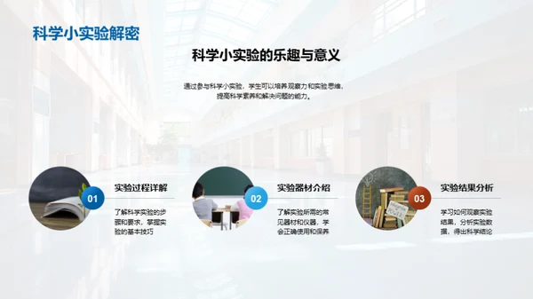 二年级的学习探索