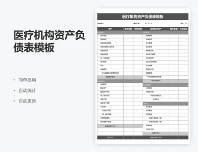 医疗机构资产负债表模板