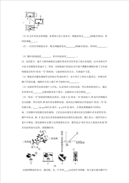 第四章植物的物质和能量转化练习华东师大版科学八年级上册