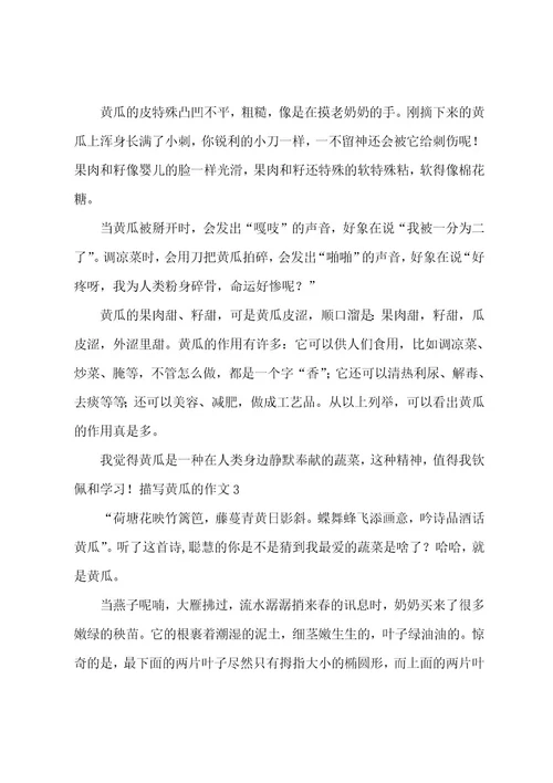 描写黄瓜的作文