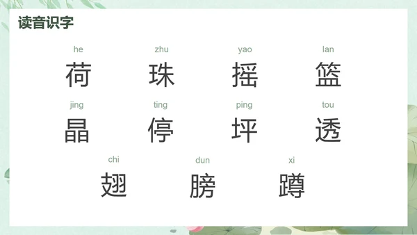 部编版一年级下册《荷叶圆圆》