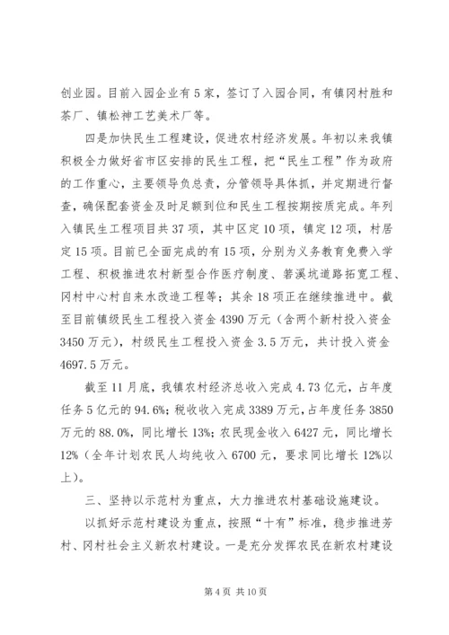 新农办年终总结和来年计划.docx