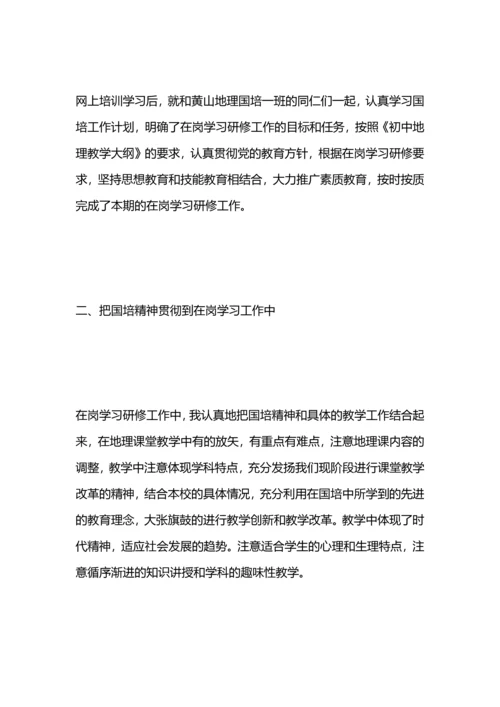 初中地理国培研修总结.docx