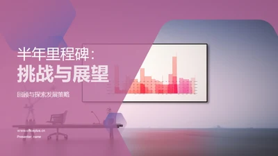 半年里程碑：挑战与展望