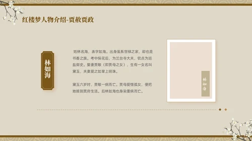 褐色复古中国风中国四大名著之红楼梦人物介绍PPT