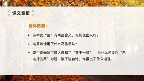 橙色简约实拍未选择的路PPT七年级语文下册PPT模板