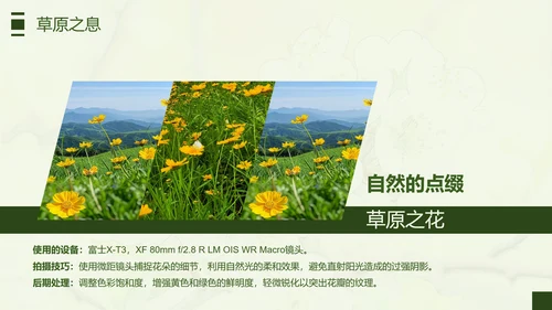 绿色简约风摄影师个人作品集PPT模板