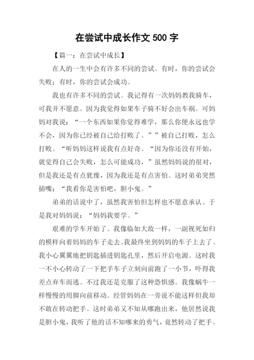 在尝试中成长作文500字.docx