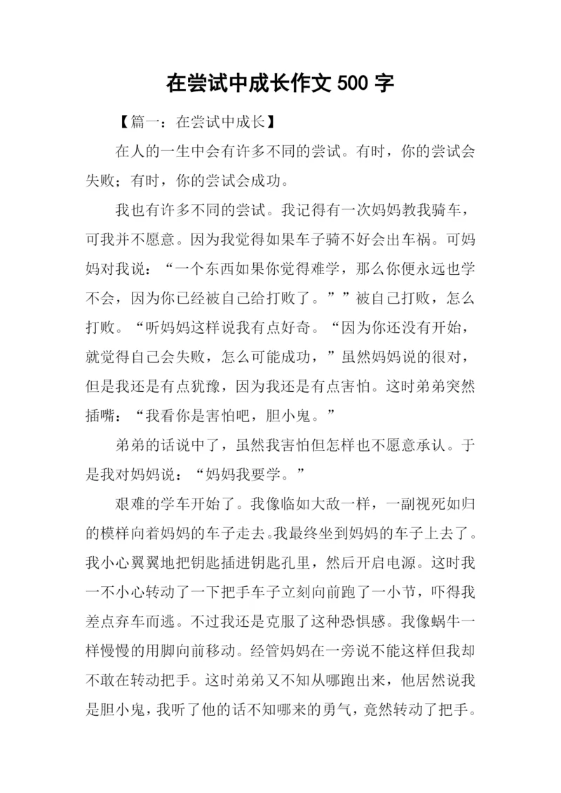 在尝试中成长作文500字.docx