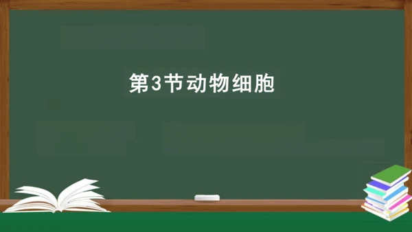 2.1.3 动物细胞 课件（共32张PPT）