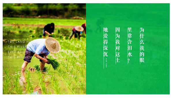 艾青文学我爱这土地通用PPT课件